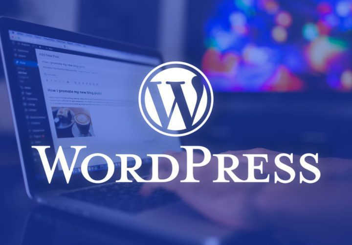 Informe de vulnerabilidad de WordPress – Enero de 2023